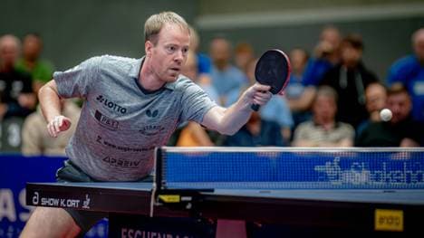 Baum will wieder häufiger in der Box stehen