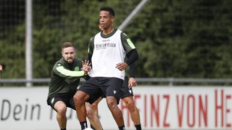 Dennis Aogo und Marc Stendera sollen Hannover 96 neue Impulse verleihen