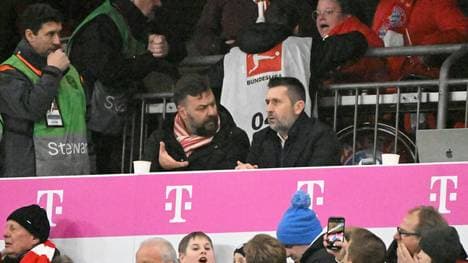 Platzverweis für Union-Trainer Bjelica