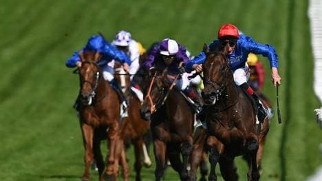 Torquator Tasso ist der Galopper des Jahres 2020