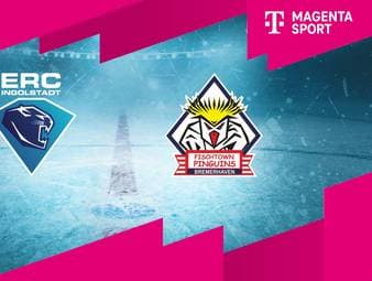 ERC Ingolstadt - Pinguins Bremerhaven: Tore und Highlights | PENNY DEL