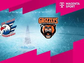 Adler Mannheim - Grizzlys Wolfsburg: Tore und Highlights | PENNY DEL