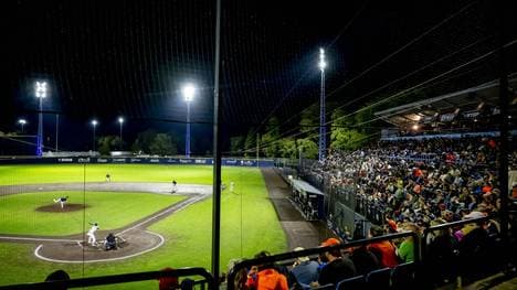 Das Baseball-Stadion in Rotterdam