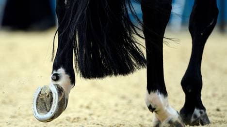 Die Impfpflicht gegen Herpes wird abgeschafft