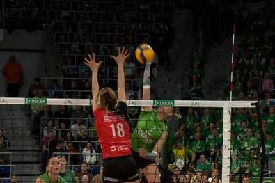 So holt sich Dresden den Pokal