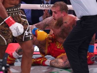 Paul nach Kampf gegen Joshua schwer verletzt