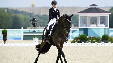 Der Ruf der Dressur hat in den letzten Monaten gelitten