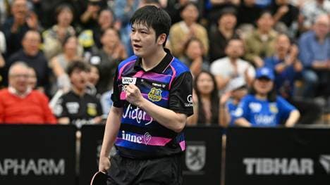 Garant für den Titel? Fan Zhendong