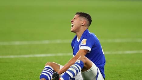 Der Kader des FC Schalke 04 im Check
