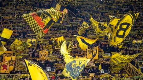 Fans des BVB peitschen ihre Mannschaft voran