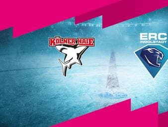 Kölner Haie - ERC Ingolstadt: Tore und Highlights | PENNY DEL