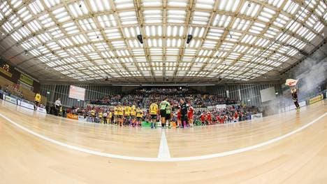 TSG Ludwigshafen-Friesenheim v Rhein-Neckar Loewen  - DKB HBL