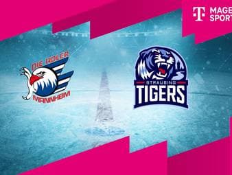 Adler Mannheim - Straubing Tigers: Tore und Highlights | PENNY DEL