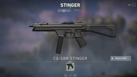 Auch sie Stinger hat ihre Vorzüge - wir zeigen Euch, welche das sind 