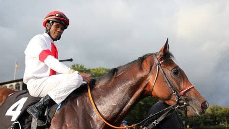 Jockey Eduardo Pedroza auf Laccario in Berlin-Hoppegarten 2019