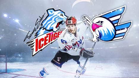 DEL-Playoffs: Nürnberg - Mannheim LIVE im TV, Stream, Ticker