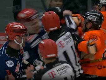 Die Highlights der Eishockey-Partie Schwenninger Wild Wings - Grizzlys Wolfsburg aus der DEL im Video.