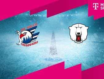 Adler Mannheim - Eisbären Berlin: Tore und Highlights | PENNY DEL