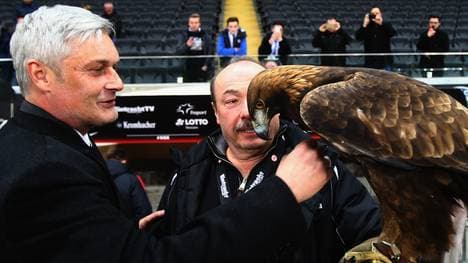 Eintracht Frankfurt v FC Schalke 04 - Bundesliga