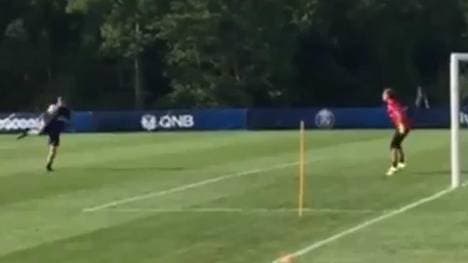 Ibrahimovic und Trapp