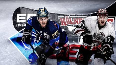 Am elften Spieltag trifft der ERC Ingolstadt auf die Kölner Haie