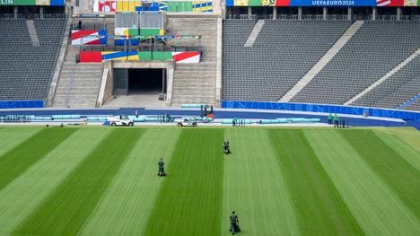 Ausgezeichnete Rasenpflege in Berlin