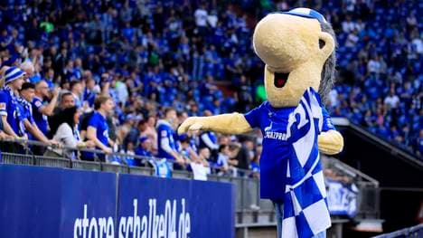 Der FC Schalke 04 hat die Lizenzauflagen erfüllt