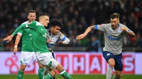 Werder verlängert mit Maximilian Eggestein!