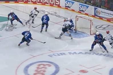 Adler Mannheim - Schwenninger Wild Wings 