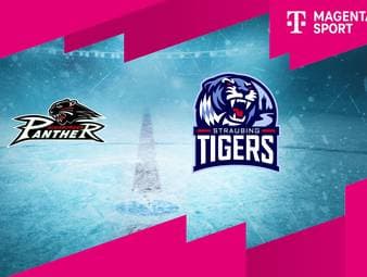 Augsburger Panther - Straubing Tigers: Tore und Highlights | PENNY DEL