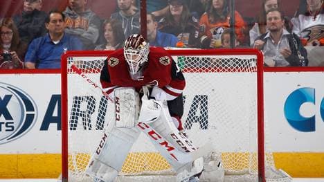 Anaheim Ducks v Arizona Coyotes