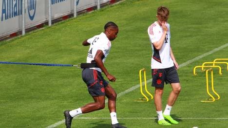 Mathys Tel (l.) und Paul Wanner (r.) gehören zum Youth-League-Aufgebot des FC Bayern