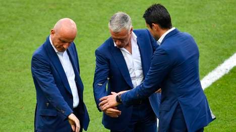 Das Mottenproblem bekam auch Frankreichs Trainer Didier Deschamps zu spüren