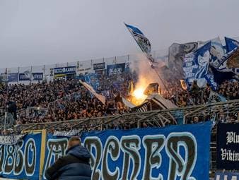 "Ich bin genauso schockiert wie die meisten Löwenfans"