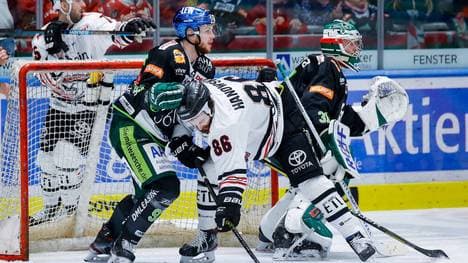 Die Panther bekommen es mit den Haien zu tun - live auf SPORT1!