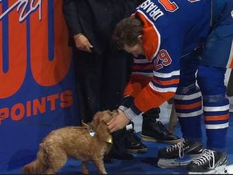 Leon Draisaitl hat im Dezember seinen 1000. Scorerpunkt erzielt und wird deswegen von den Oilers geehrt. Bei seiner Ehrung hat er jedoch nur Augen für seinen Hund Bowie. Im Anschluss an die Ehrung das Spiel gegen die Los Angeles Kings.