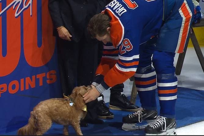 Bei seiner Ehrung: Draisaitls Hund stiehlt ihm die Show