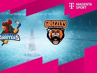 Iserlohn Roosters - Grizzlys Wolfsburg: Tore und Highlights | PENNY DEL