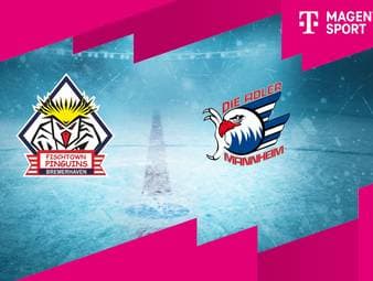 Pinguins Bremerhaven - Adler Mannheim: Tore und Highlights | PENNY DEL