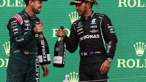 Lewis Hamilton (r.) war jahrelang Vettels Rivale