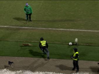 Ein tierischer Besucher liefert an der Kieler Förde eine unterhaltsame Halbzeit-Show ab.