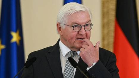 Frank-Walter Steinmeier übernimmt Schirmherrschaft