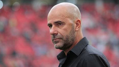 Peter Bosz soll längerfristig bei Bayer Leverkusen bleiben
