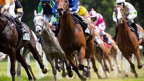 Bei einem Rennen in Neuseeland kommt es zu einem tragischen Unfall (Symbolbild)
