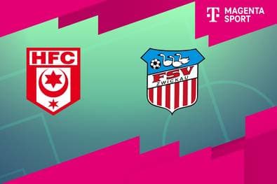 Hallescher FC - FSV Zwickau (Highlights)