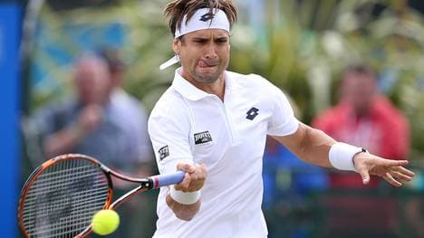 David Ferrer 