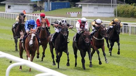 Wer triumphiert bei der Großen Woche?