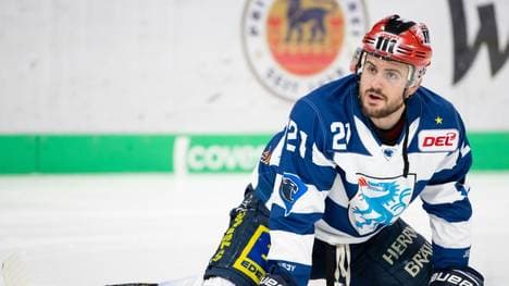 Ingolstadt wird die kommende DEL-Saison mitspielen