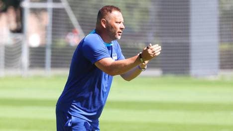Unter Hertha-Coach Pál Dárdai spielen drei seiner Söhne