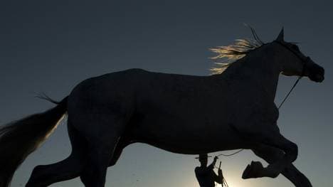 Am Wochenende startet die Reit-WM in Herning